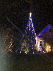 Christmas lights 1 cardinal touched up