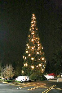 holiday tree lighting edited