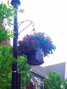 Flower baskets