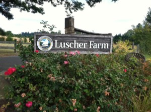 Luscher Farm sign