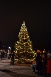 holiday tree lighting