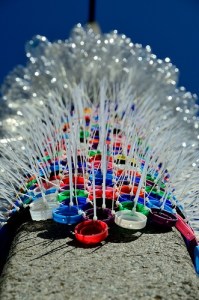 Barbara.DePirro-1 web