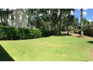 This large level lot (.30 acre) is something that's hard to find on the main lake but a main selling point of living on the canal. 