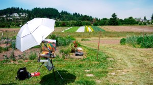jackiemccartin_luscher-farm-painting